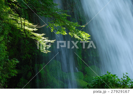 慈恩の滝 慈恩の滝 27929167