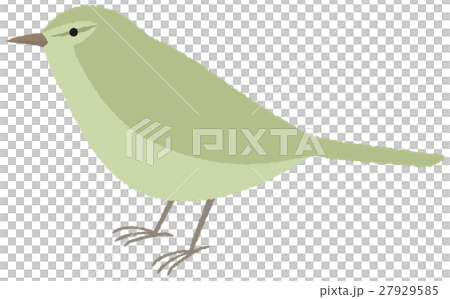 Yingge Uguis Bird 27929585