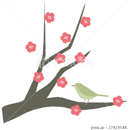 梅とウグイスのイラスト素材