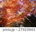 小石川後楽園 - 紅葉 -  27929843