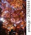 小石川後楽園 - 紅葉 -  27929844