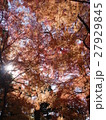 小石川後楽園 - 紅葉 -  27929845