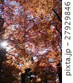 小石川後楽園 - 紅葉 -  27929846