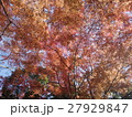 小石川後楽園 - 紅葉 -  27929847