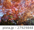 小石川後楽園 - 紅葉 -  27929848