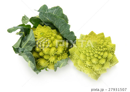 ブロッコリーロマネスコ 27931507