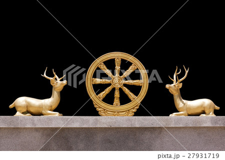 Thammachak and Deer squat isolated Thammachak and Deer squat isolated 27931719