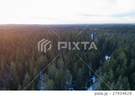 aerial photo of sunset over fir forest in winter aerial photo of sunset over fir forest in winter 27934629