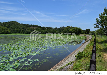 ラムサール条約登録地 大山上池・大山下池 27936720