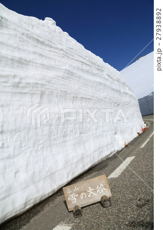 雪の立山黒部アルペンルート 雪の立山黒部アルペンルート 27938892