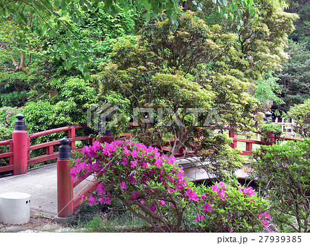 萬葉植物園　 27939385