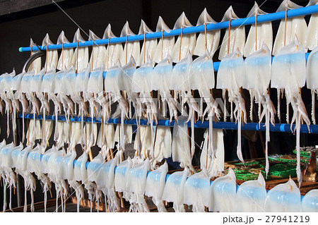 天日干しされているするめいか、しろいか 27941219