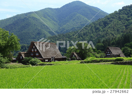 世界遺産 初夏のひだ白川郷 世界遺産 初夏のひだ白川郷 27942662