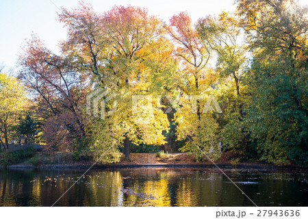 landscape landscape 27943636