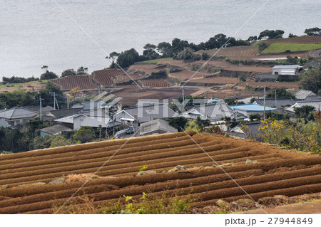 長島の段々畑 27944849
