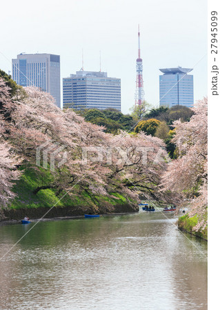 Chidorigafuchi park during the spring season. Chidorigafuchi park during the spring season. 27945099