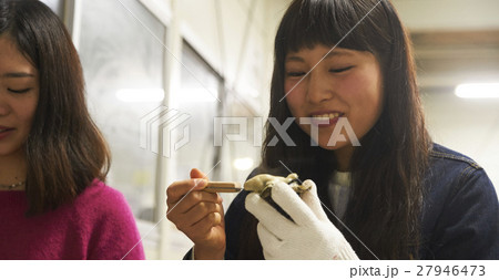 女子旅　宮島観光　かき小屋 27946473