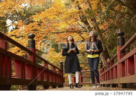 紅葉を楽しむ女性たち 27947795