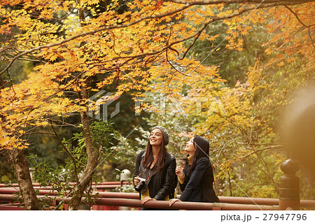 紅葉狩りをする外国人女性と日本人女性 27947796