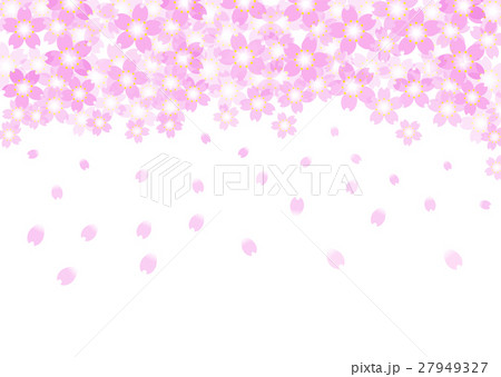 桜の背景素材 27949327