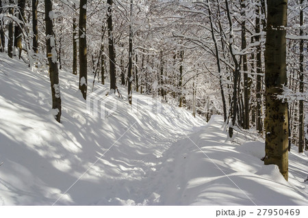 Winter mountain scenery in Bieszczady mountains 27950469