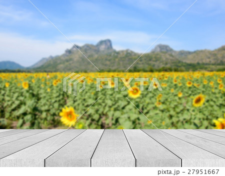Empty wood table and Landscape background Empty wood table and Landscape background 27951667