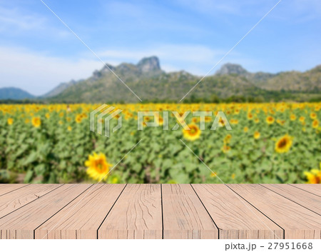 Empty wood table and Landscape background 27951668