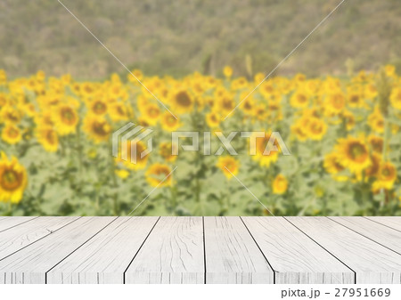 Empty wood table and Landscape background Empty wood table and Landscape background 27951669