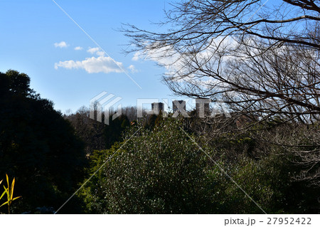 横浜・根岸森林公園 27952422