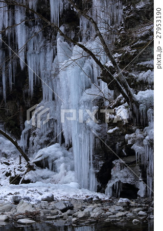 埼玉県秩父の三十槌の氷柱/The icicles of Misotsuchi in Chichibu 27953190