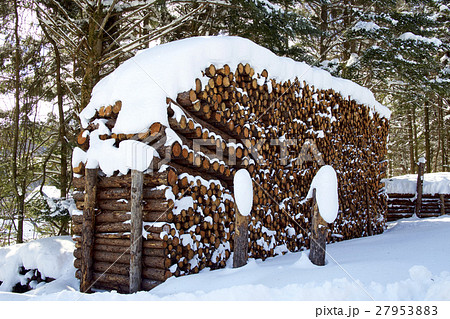 雪積もったカラマツの丸太の写真素材 [27953883] - PIXTA