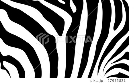 Abstract background skin of a zebra. Abstract background skin of a zebra. 27955821