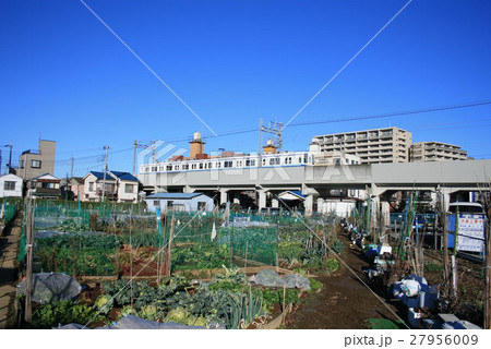 ［TS］冬晴れの東武大師線8000系電車（西新井⇔大師前） 27956009