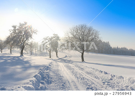 Cross Country Ski Tracks in Austria, Winter Mounta Cross Country Ski Tracks in Austria, Winter Mounta 27956943