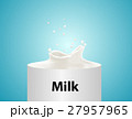 Vector splash of milk illustration  27957965