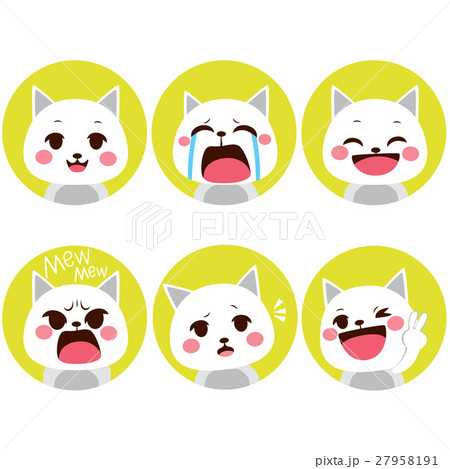Cat Expressions 27958191