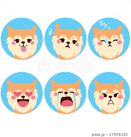 Dog Expressions 27958193