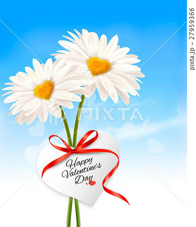 alentine's Day background Two daisies  27959366