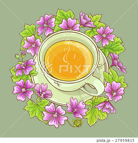 cup of malva tea cup of malva tea 27959815