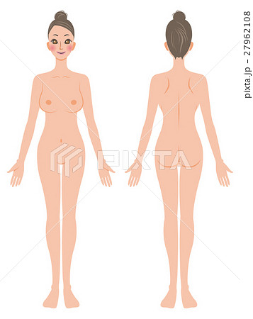 女性全身裸ベクター 27962108
