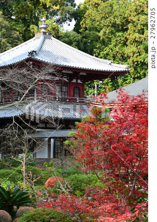 井伊家菩提寺 龍潭寺 井伊直虎 井伊家菩提寺 龍潭寺 井伊直虎 27962705