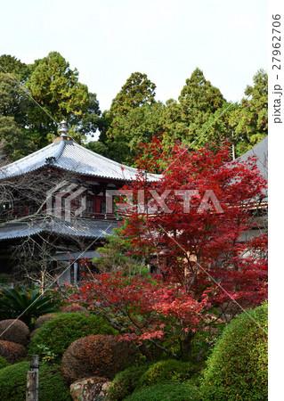 井伊家菩提寺 龍潭寺 井伊直虎 井伊家菩提寺 龍潭寺 井伊直虎 27962706