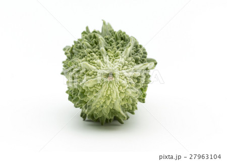 ゴーヤ: Indian bitter melon ゴーヤ: Indian bitter melon 27963104