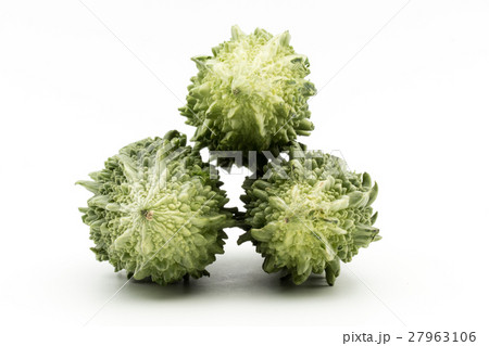 ゴーヤ: Indian bitter melon 27963106