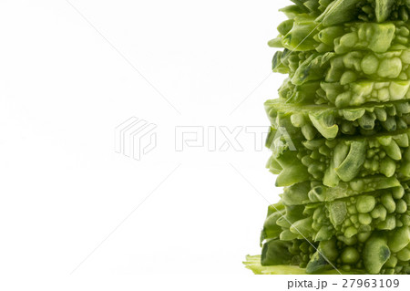 ゴーヤ: Indian bitter melon 27963109