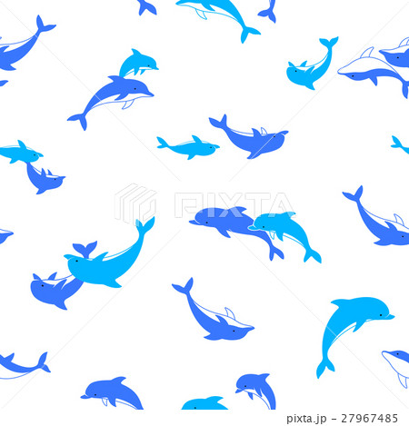 イルカの柄 27967485