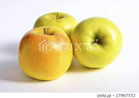 リンゴ（こうこう） 27967552