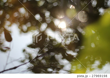 エコロジー エコ 生態 27969198