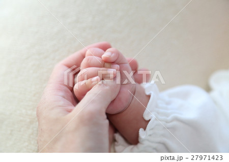 赤ちゃんと大人の手 赤ちゃんと大人の手 27971423