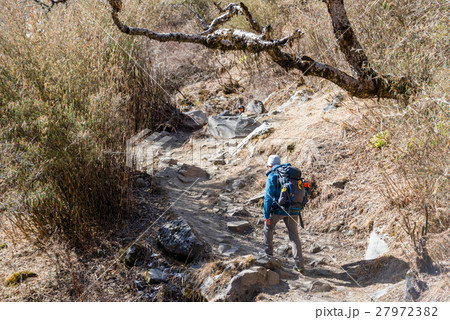 Hiking to Himalaya mountain in Nepal , trekking Hiking to Himalaya mountain in Nepal , trekking 27972382
